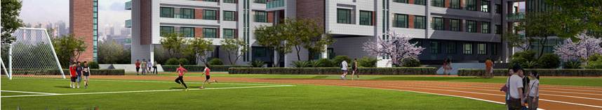 九龙坡区有多少个中学,九龙坡区实验外国语学校田坝中学