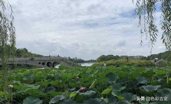 成都旅游良心攻略,成都四天三晚旅游攻略