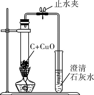 中考化学碳必考知识点,碳和碳的化合物易错点