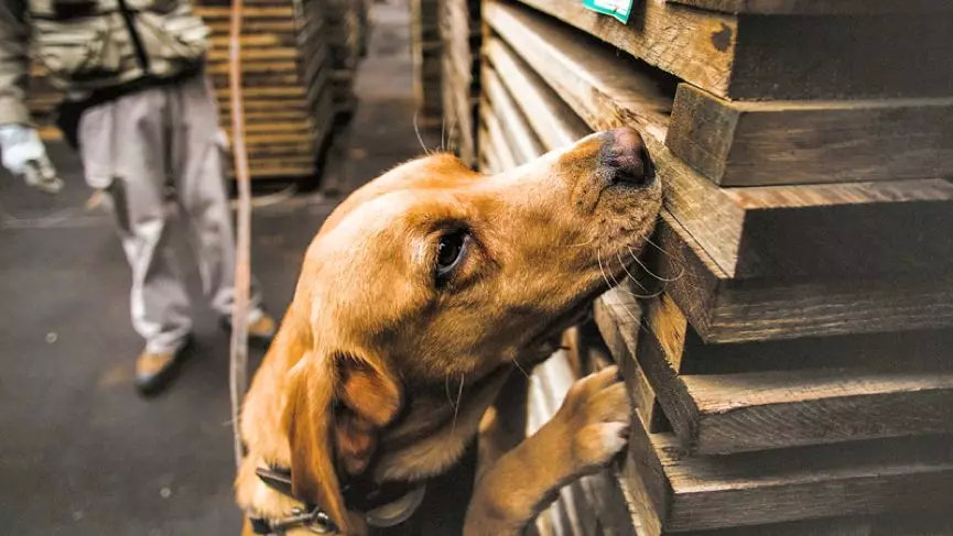 关于红酒的最新资讯,葡萄酒热点视频