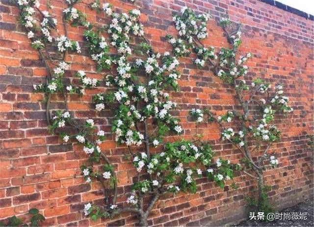 鍥壓鍒涙剰閫犲瀷鐩嗘櫙,鍥壓鐩嗘櫙鍒涙剰璁捐