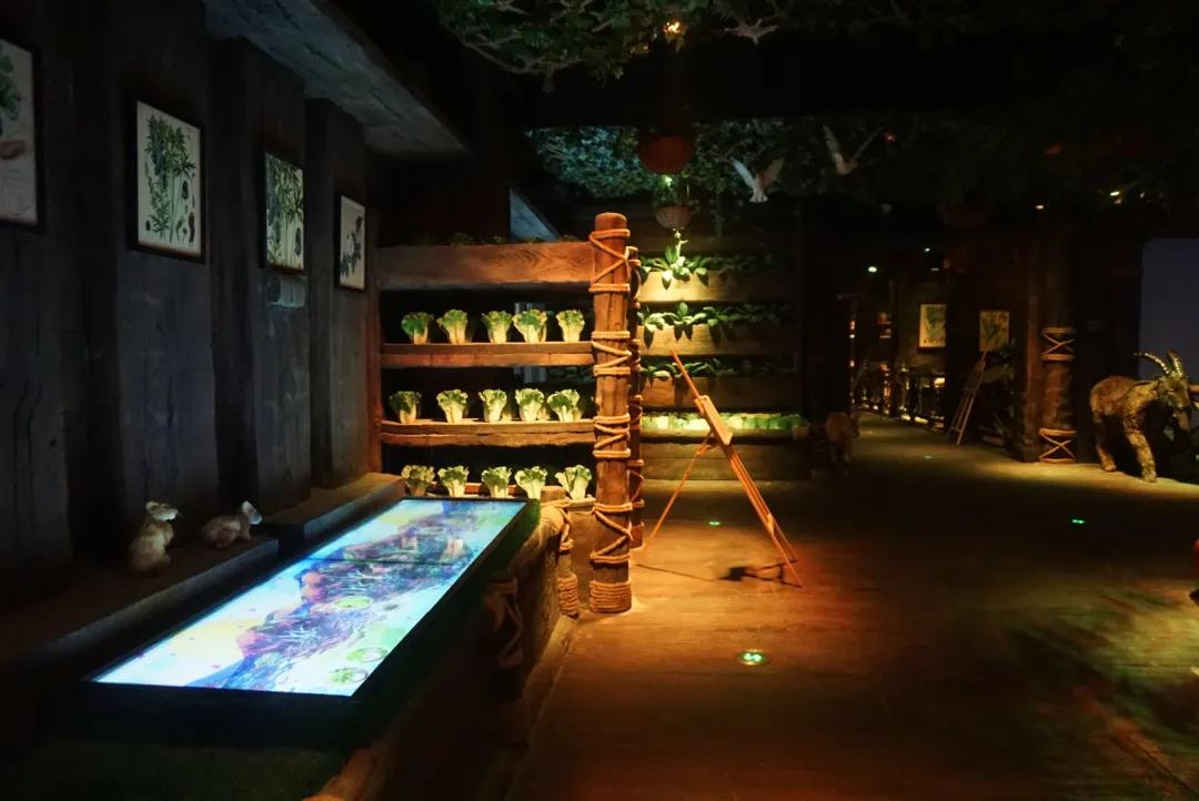 占地30000㎡！这艘建在安华汇天台上的巨船，竟是亲子乐园