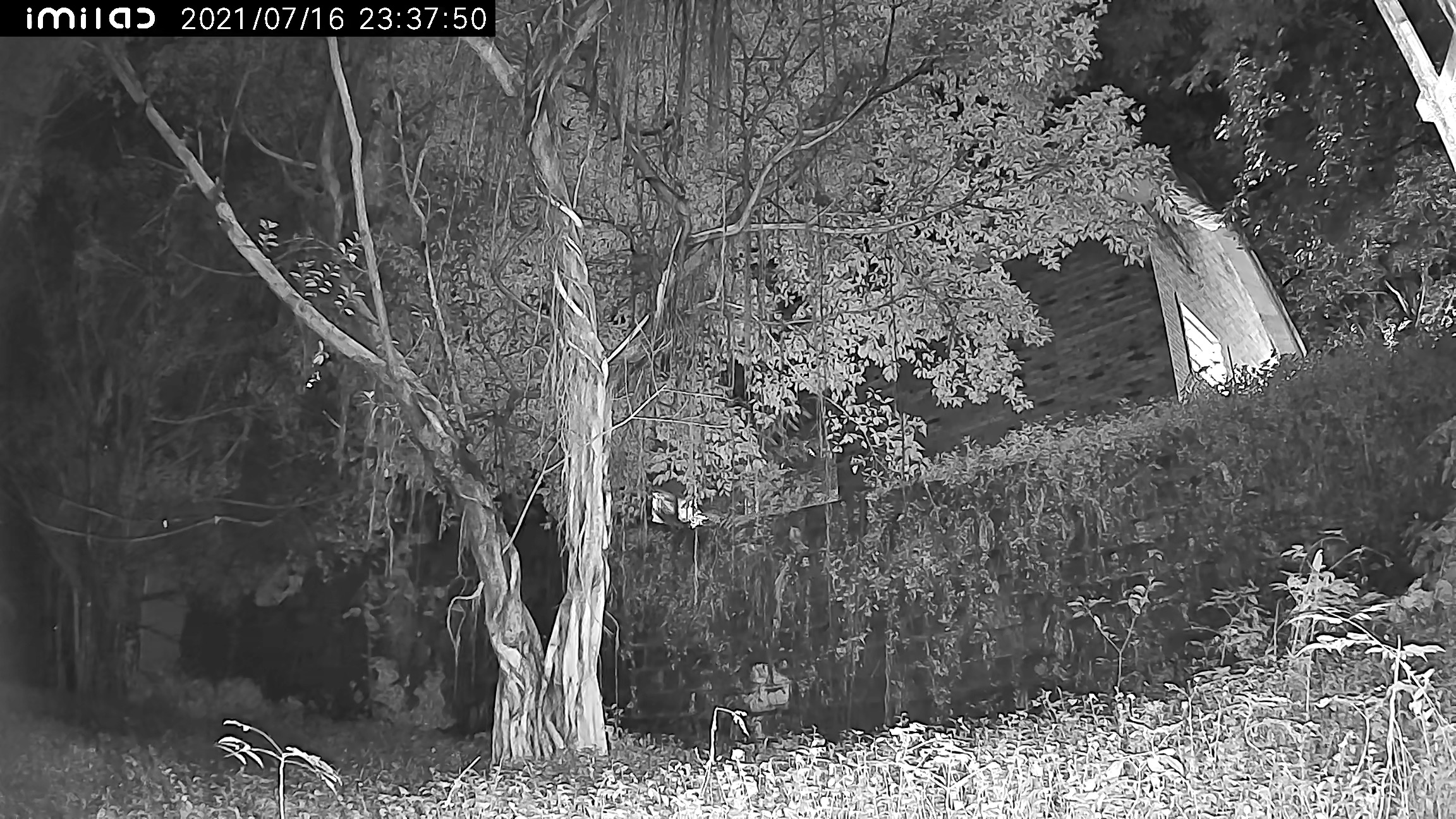 小白户外摄像机云台版n4怎么拆,小米小白智能户外云台摄像机n4