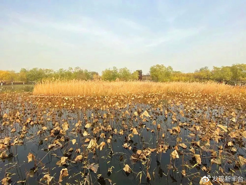 八大处公园赏秋攻略,最值得去赏秋的公园