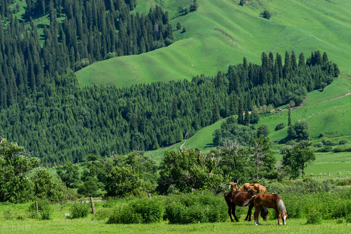 独库公路网红攻略,独库公路环线自驾游攻略