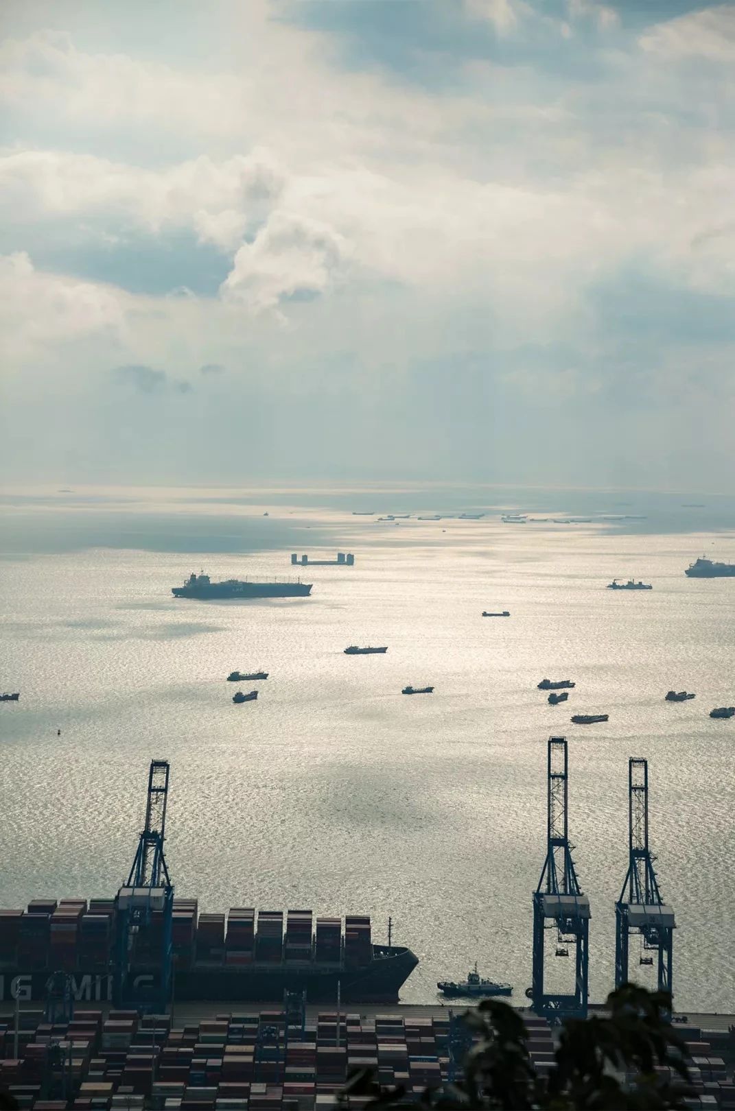 深圳周末带孩子免费游玩好去处,2021深圳免费适合遛娃玩地方排名