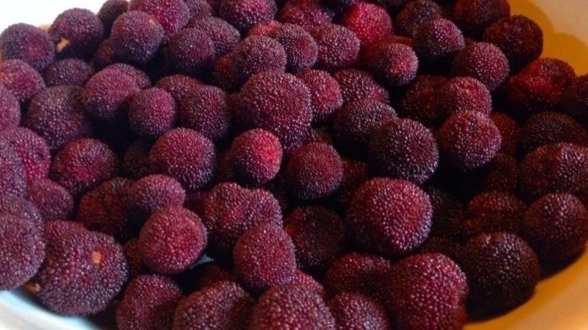 杨梅的清洗正确方法,杨梅正确清洗方法