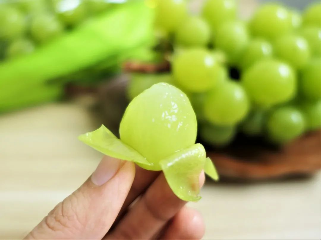 葡萄界的爱马仕晴王,葡萄界中的爱马仕跌落