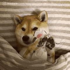 不吹不黑的网红护肤品,超火的面膜真的有用吗