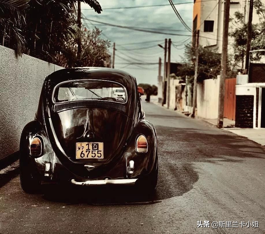 为什么要免签斯里兰卡,为什么一定要免签斯里兰卡