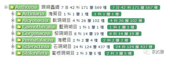 lps和sps可以一起养吗,哪些lps适合新手养