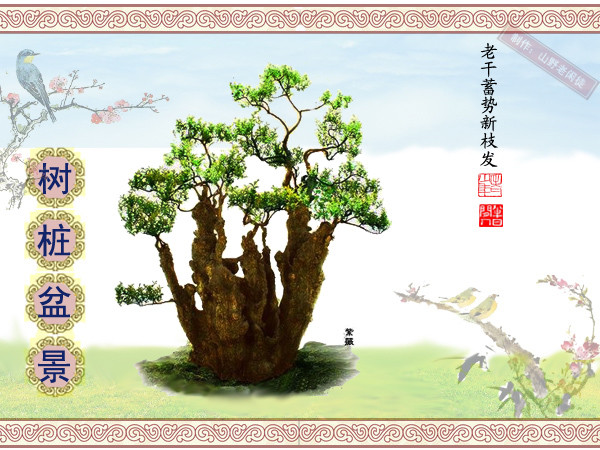 鑰侀甫鏍戞々鐩嗘櫙,鏍戞々鐩嗘櫙閫犲瀷