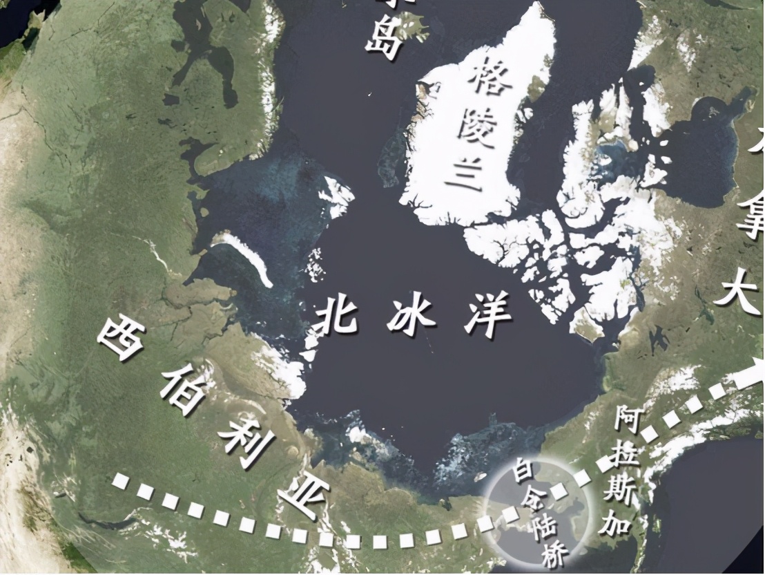 猛犸象是怎么灭绝的真正原因,为什么猛犸象要灭绝