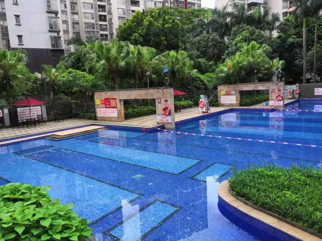 广州十大游泳池,黄埔游泳池有哪些