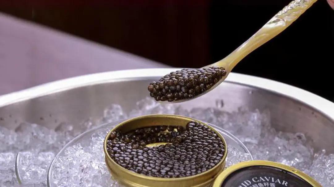 除了贵没有别的毛病,鱼子酱在哪里一点也不奢侈