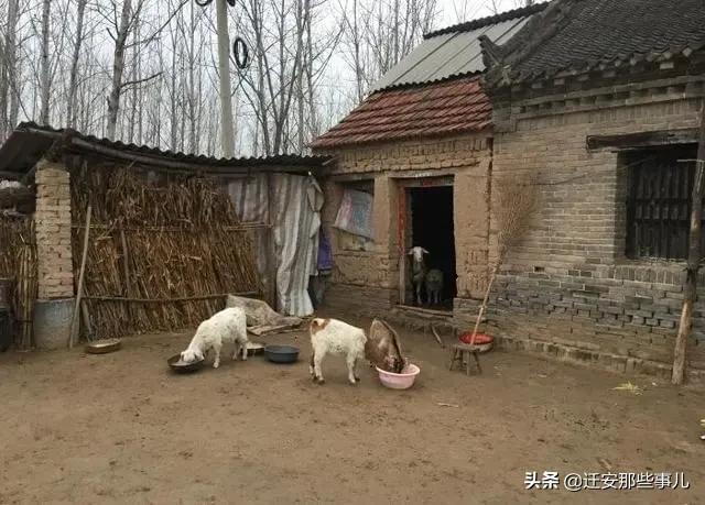 迁安县的生活水平,迁安比较富裕的小区在哪里