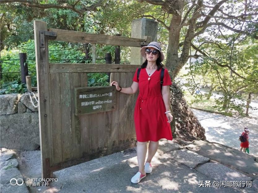 歌诗达邮轮新浪漫号模型,歌诗达新浪漫号购物