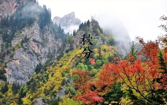 24节气适合喝什么茶,一年最热的节气宜喝什么茶