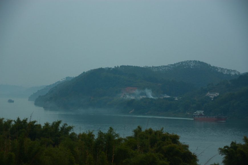 蜜蜂喜欢在什么样的地方居住,蜜蜂一般在野外哪些地方