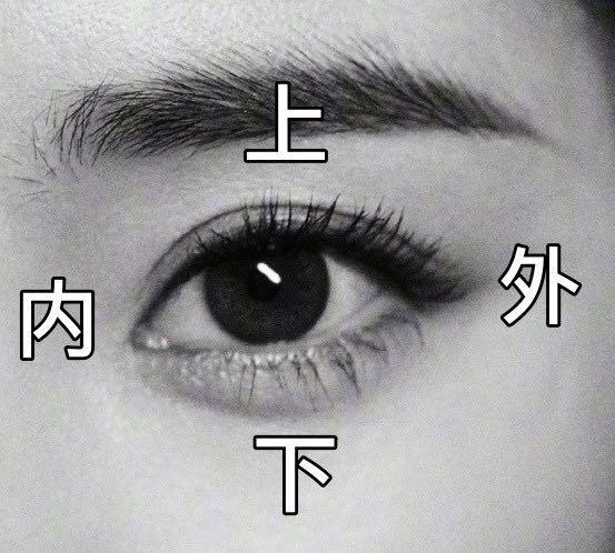 迄今为止杨幂都撩过哪些男明星,盘点杨幂那些年撩过的男嘉宾