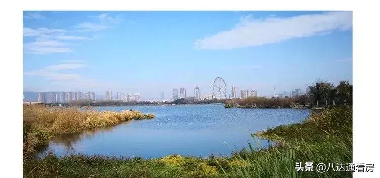 草海金地云海一号湿地公园,方圆侃房草海金地云海