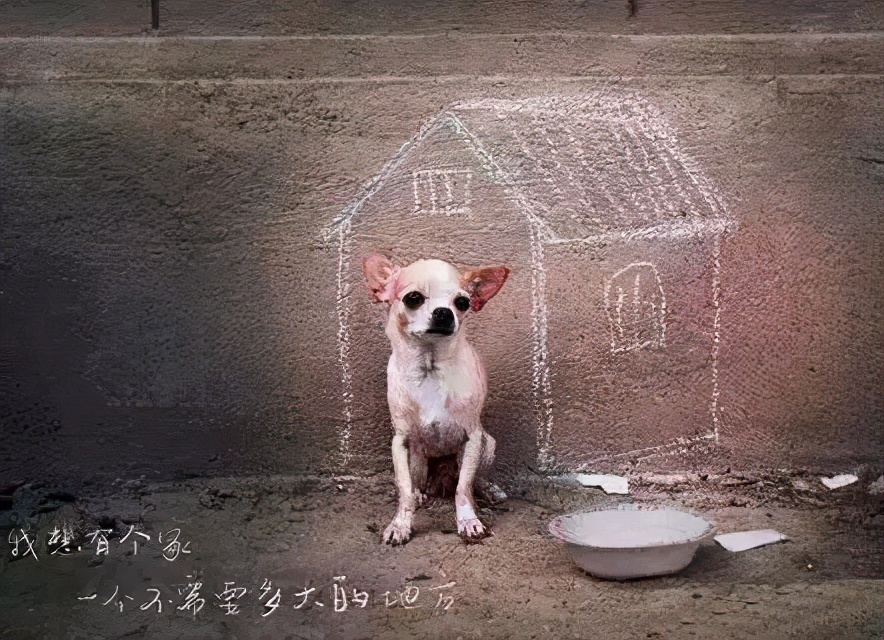 以前人们长虱子现在怎么没有了,为何30年前农村男女老少都有虱子