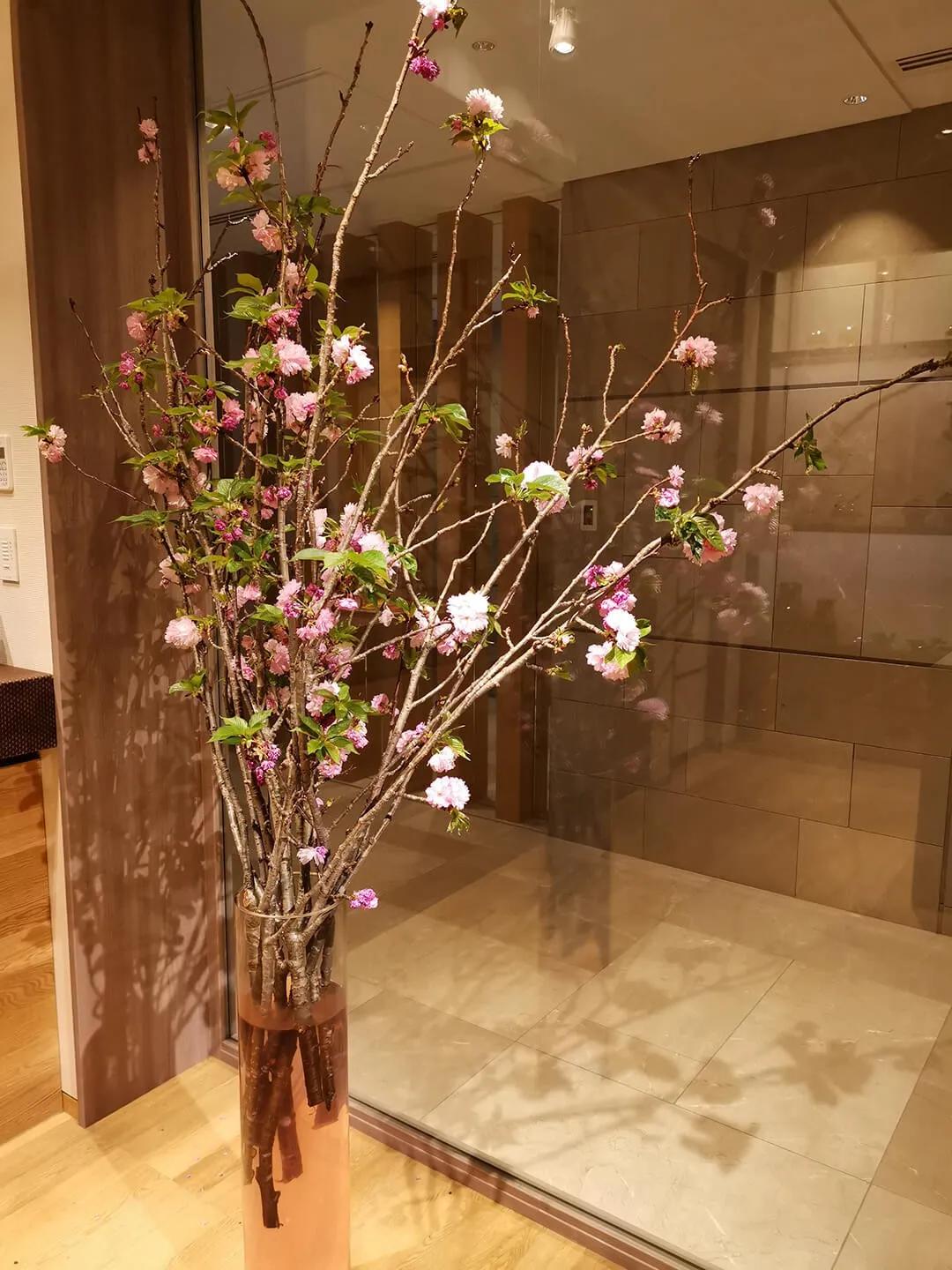 鎱㈣揪涓栫晫,鎱㈡父鍏ㄤ笘鐣岀浜屽鍦ㄧ嚎瑙傜湅