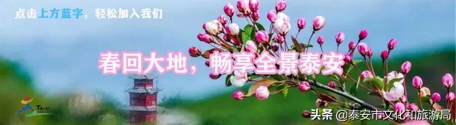 泰山温泉城最新消息,暖春已到静待花开