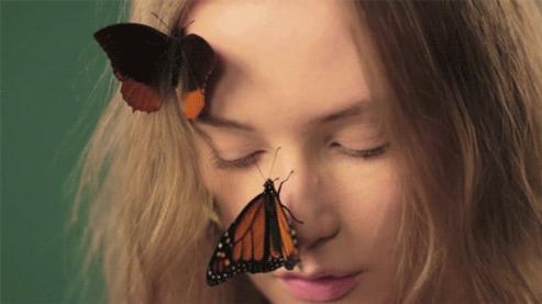 2000年王菲谢霆锋世纪牵手完整版,王菲谢霆锋世纪牵手场面