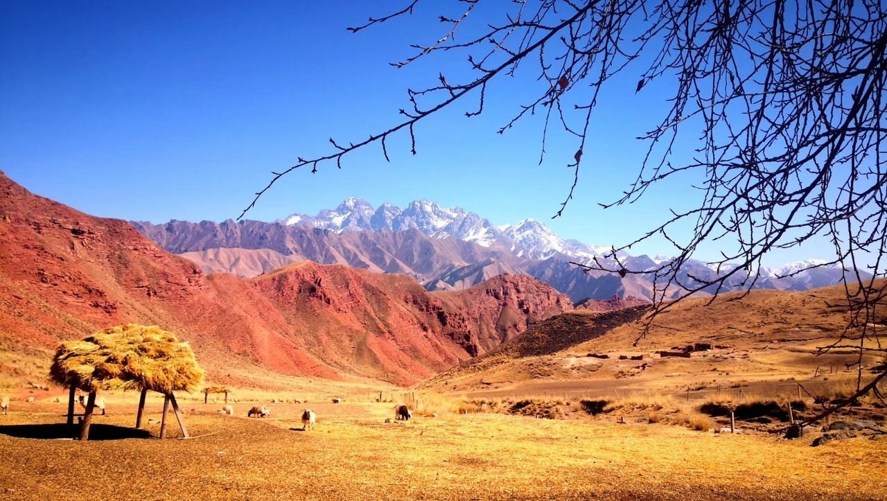 掌上牧场,掌上牧场的作用