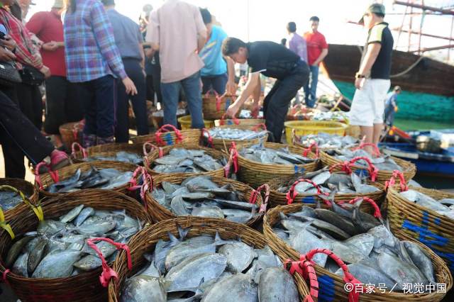 小鲳鱼怎么做好吃又简单清蒸,小宝宝吃清蒸小鲳鱼的家常做法