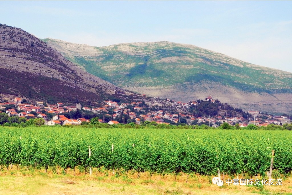 连巨星政要都亲睐的修道院葡萄酒庄你还不赶紧的｜尽在波黑福尔多