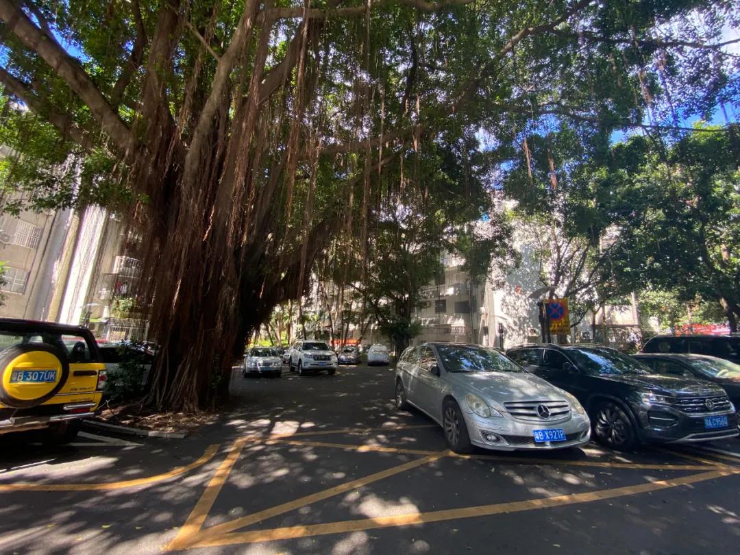 海景房40万不敢买,7万块的房子无人买