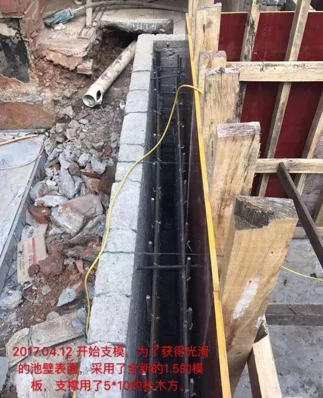 小院锦鲤鱼池建造全过程,自己建造庭院锦鲤鱼池