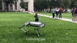 一群机械狗的球技展示，未来科技