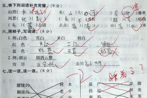 看小学生写作文居然哭了,小学生离谱作文看哭了