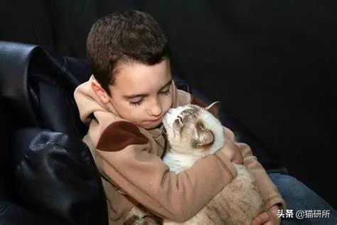 玄学靠谱还是科学靠谱,女人养猫与玄学有关吗