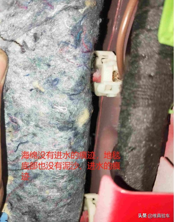 2018年甲壳虫值不值得买,小姐姐最爱的甲壳虫