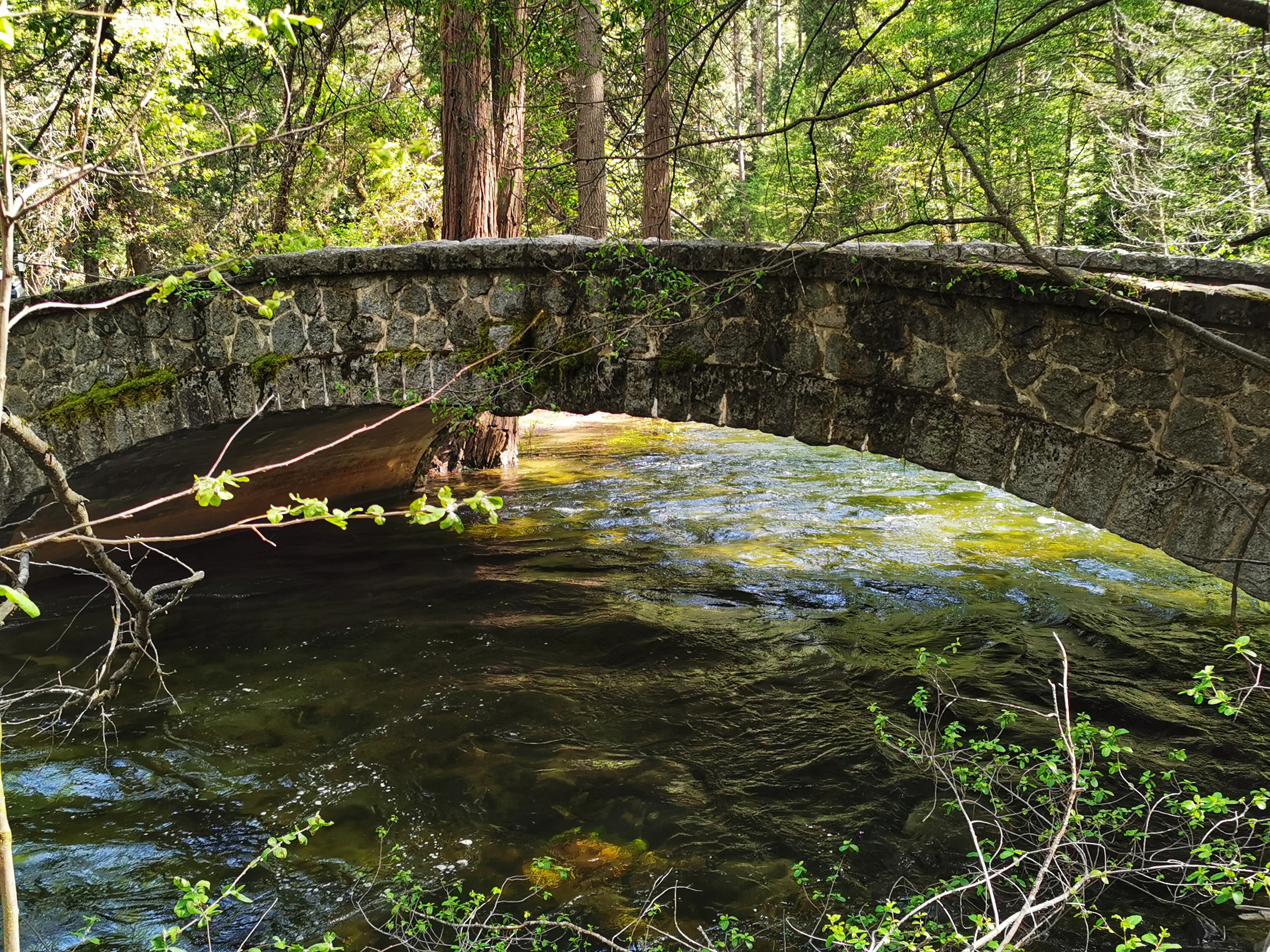 加利福尼亚优胜美地,美国旧金山优胜美地