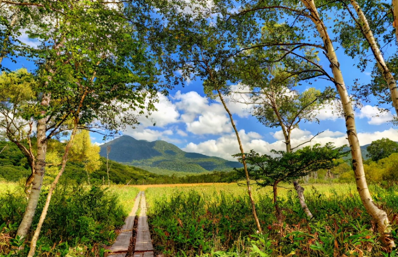 日本自由行10天,日本群马县旅行攻略