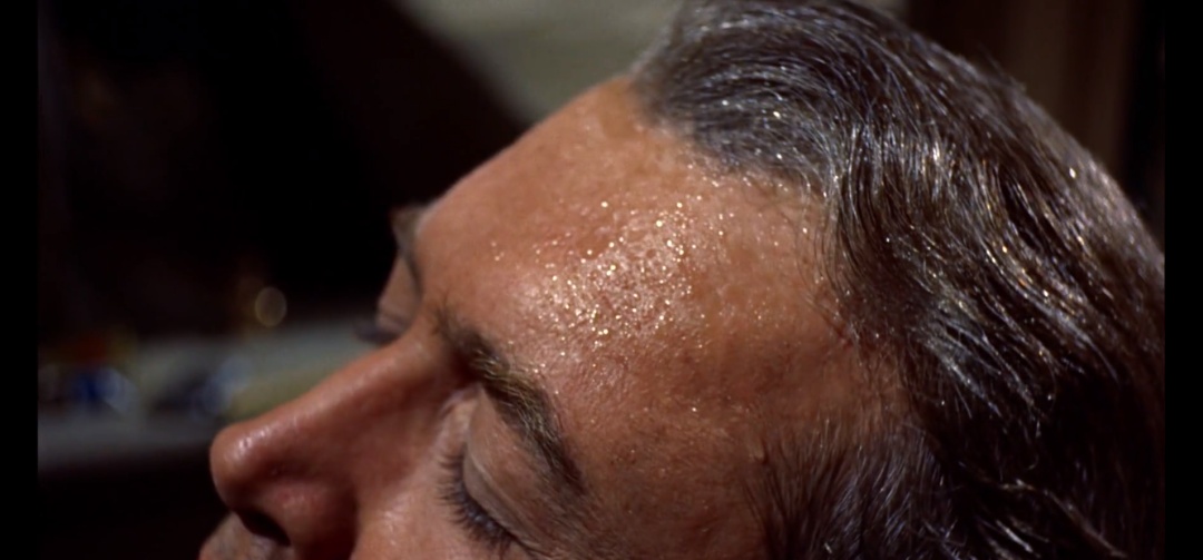 希区柯克经典电影后窗,希区柯克后窗艺术