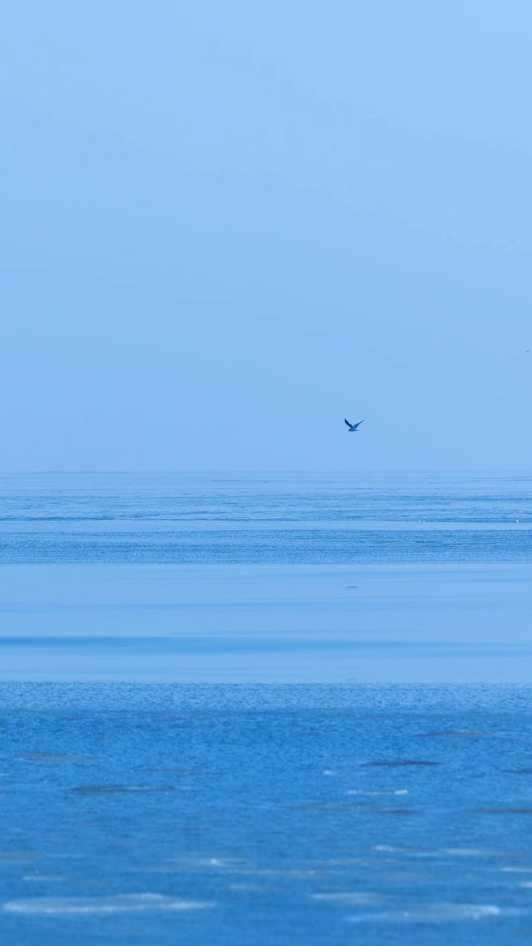 妈妈打电话给儿子借钱,妈妈打电话给儿子借500