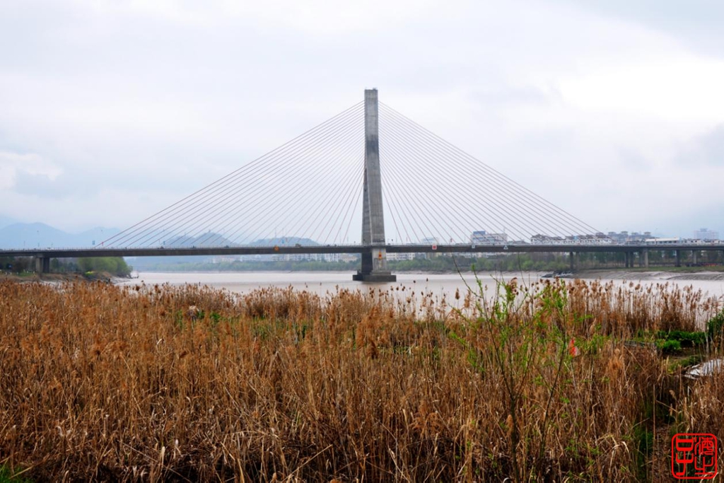 浙江母亲河钱塘江,浙江台州春风