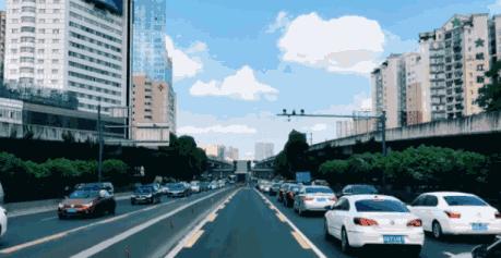 小说悟最新章节,小说《悟》