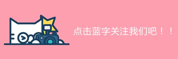 板球守桩员练习视频,板球运动讲解视频