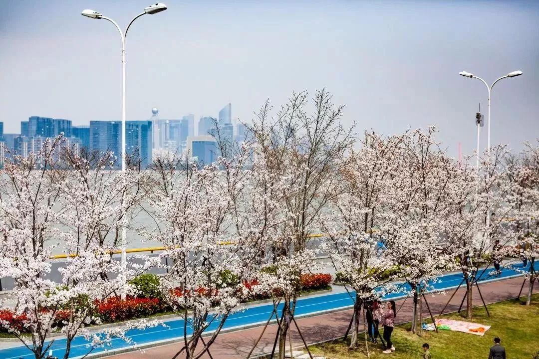 杭州适合网红拍照的地方,杭州真美高清图