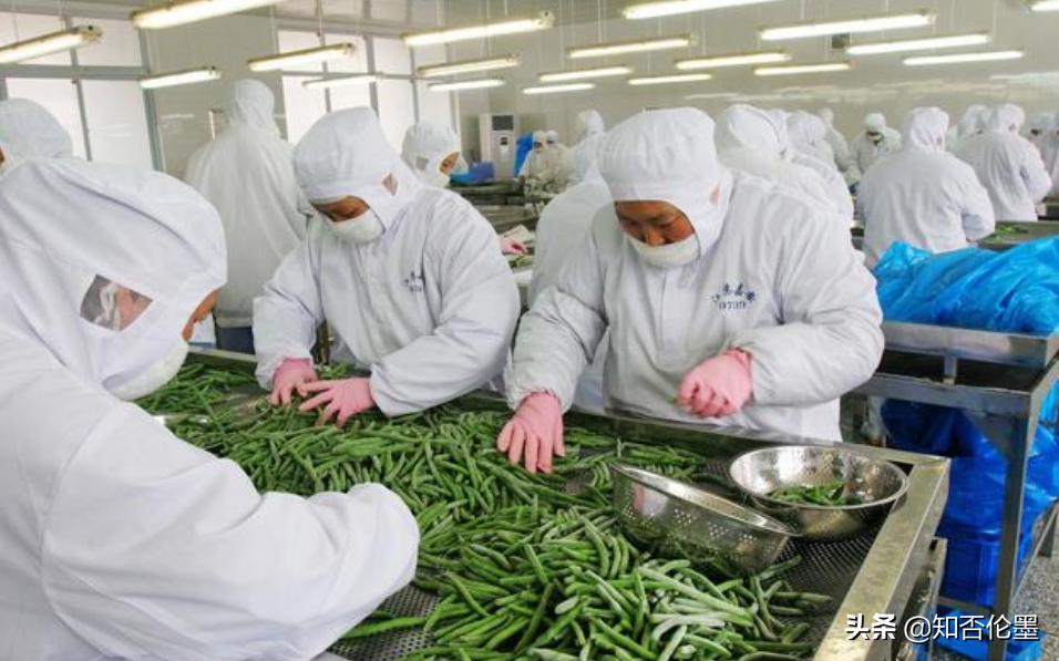 农村小型加工厂致富项目,在农村开豆制品加工厂销路去哪找