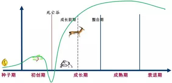 瞪羚企业总数,瞪羚企业数量排行城市