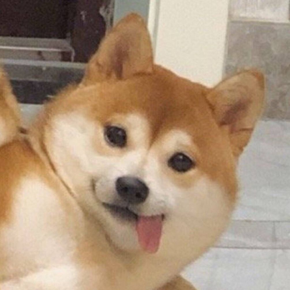 靠谱点的网络兼职app,怎么找靠谱网络兼职