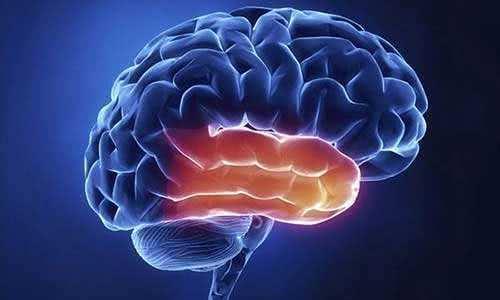 脑中风和中风是一样的吗能治好吗,老人出现中风的前兆该怎么办